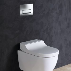 Geberit Delta50 Dual Flush Plate - Gloss Chrome (115.105.21.5) - main image 2