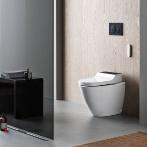 Geberit Sigma20 Dual Flush Plate - Matt Black (115.882.16.1) - main image 2