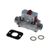 Alpha Gas Valve Kit (3.025191)