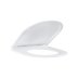 Grohe Essence Toilet Seat - Alpine White (39576000) - thumbnail image 2